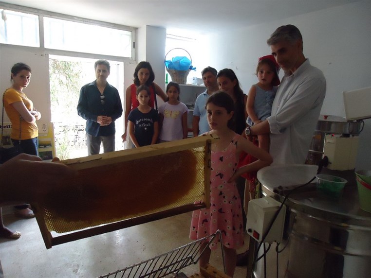 9th Annual Honey Harvest Event 